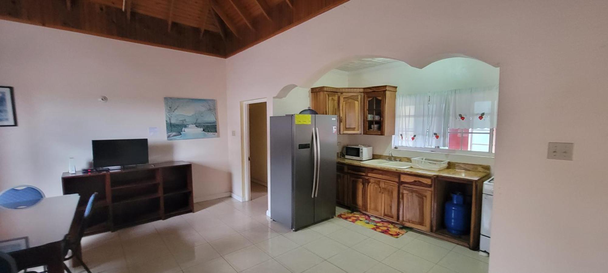 Wizzy Apartment White River Ocho Rios Cameră foto