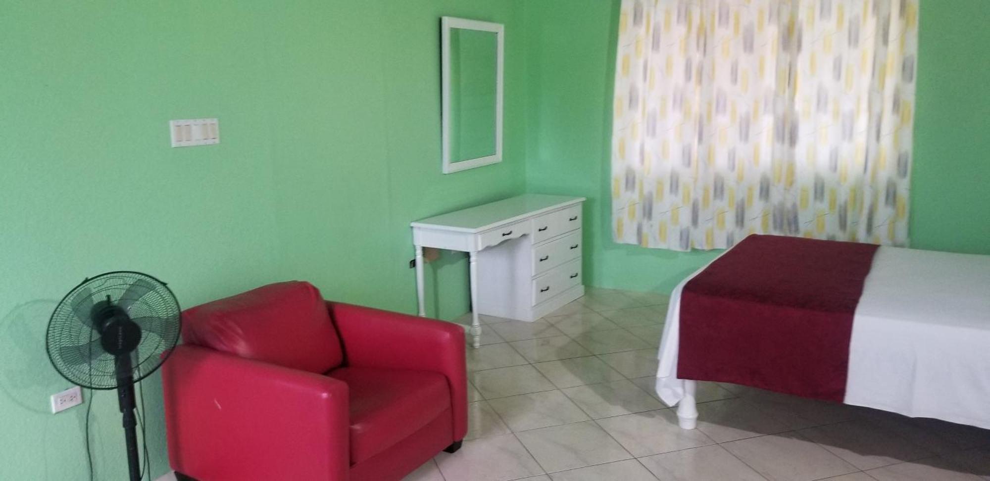 Wizzy Apartment White River Ocho Rios Cameră foto