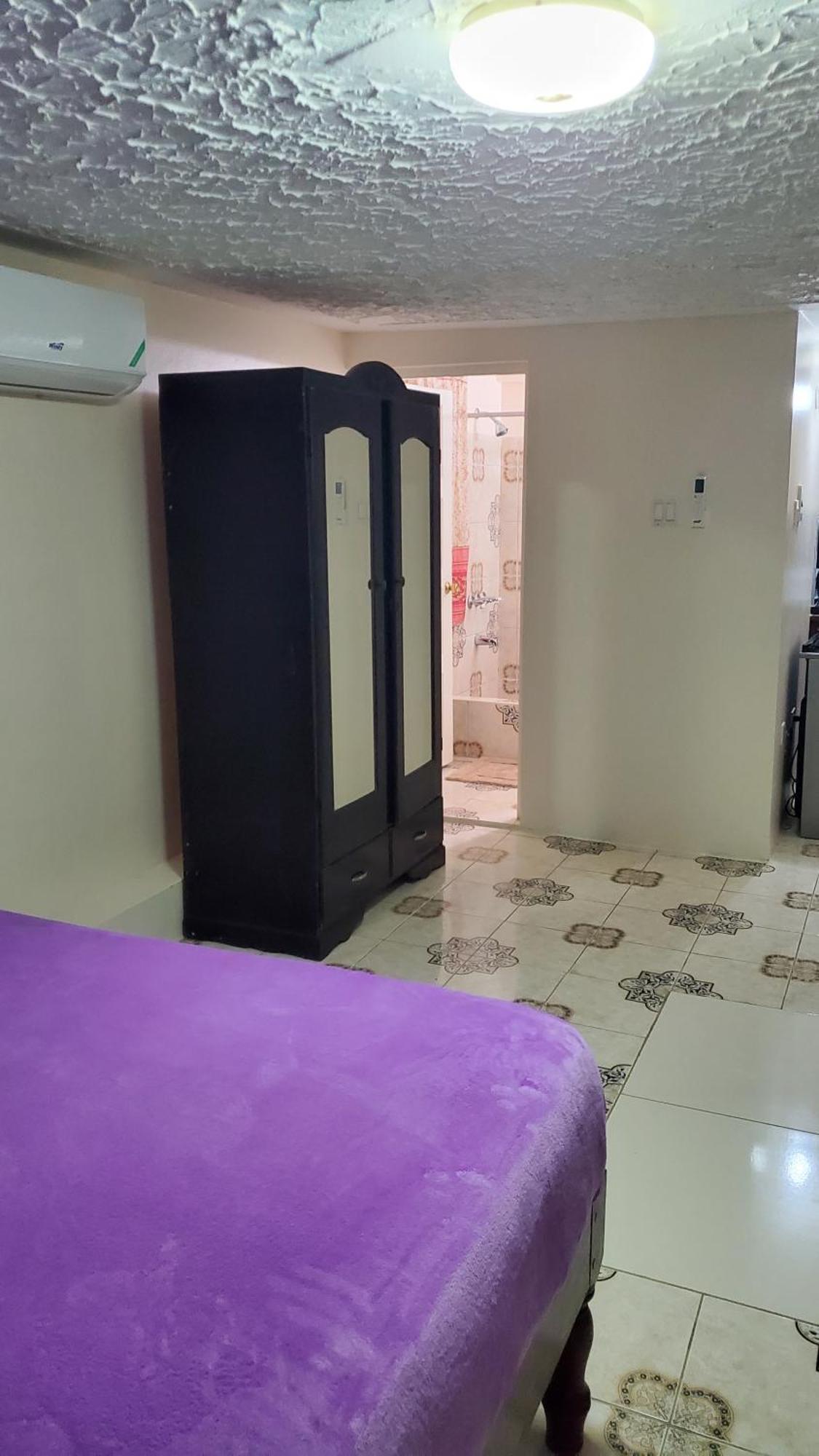 Wizzy Apartment White River Ocho Rios Cameră foto
