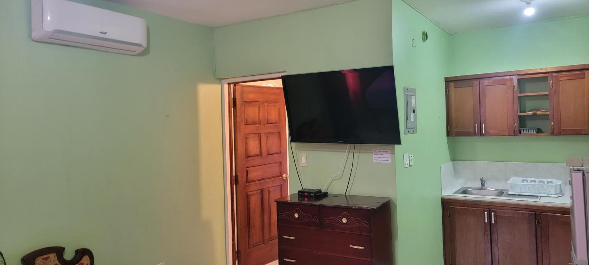 Wizzy Apartment White River Ocho Rios Cameră foto