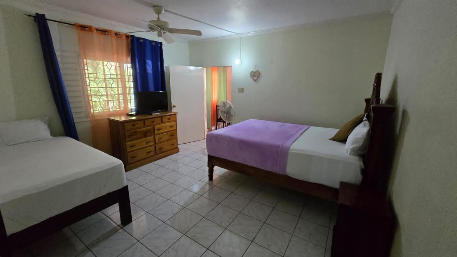 Wizzy Apartment White River Ocho Rios Cameră foto