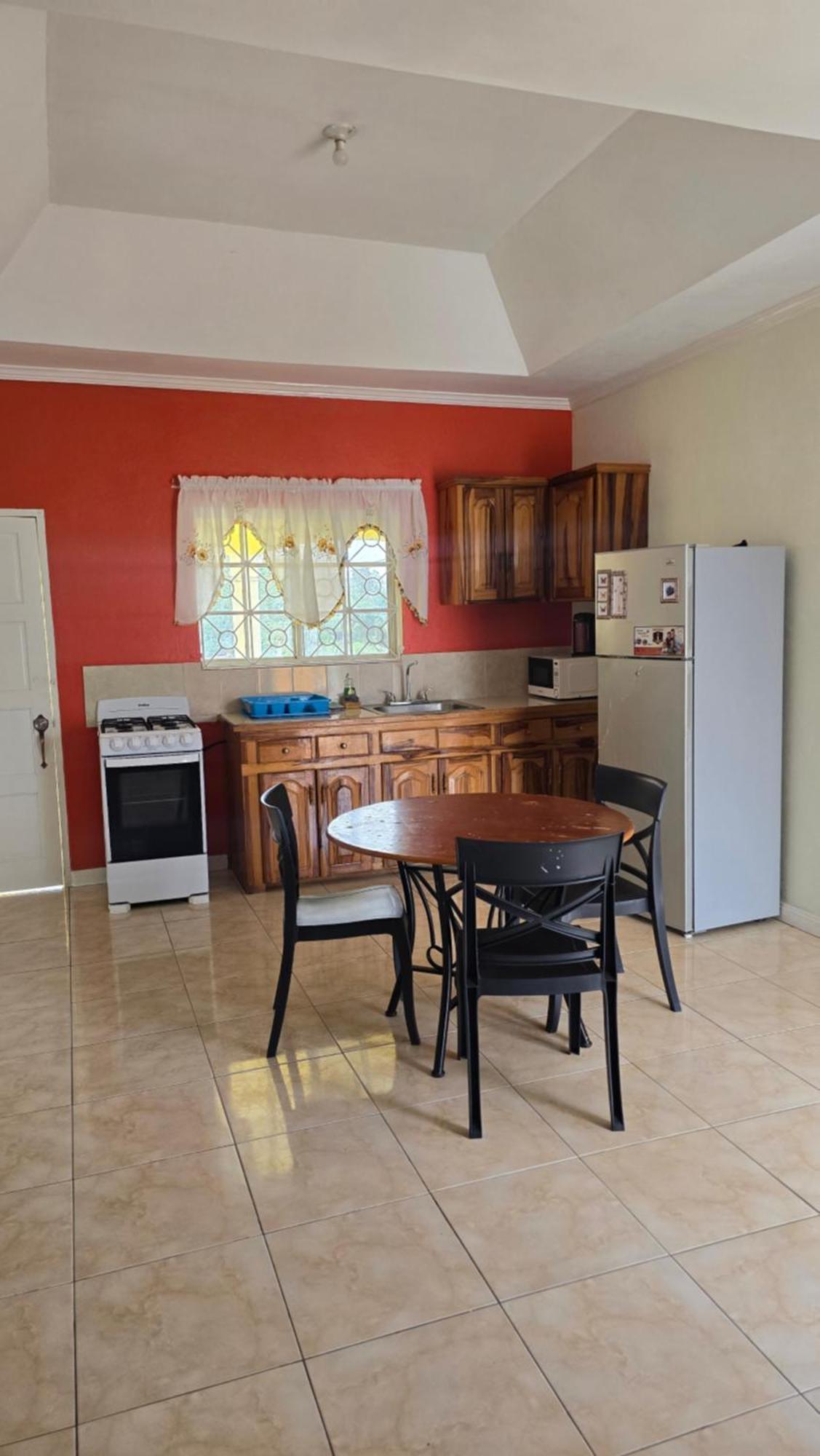 Wizzy Apartment White River Ocho Rios Exterior foto