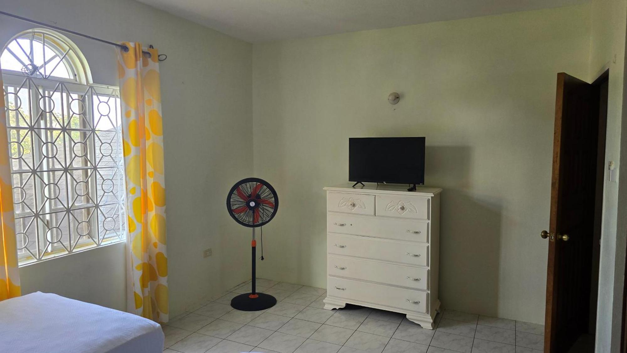 Wizzy Apartment White River Ocho Rios Cameră foto